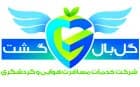 گل بال گشت